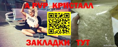 гашик Дубна