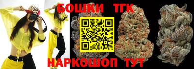 гашик Дубна