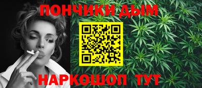 гашик Дубна