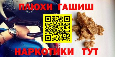 гашик Дубна
