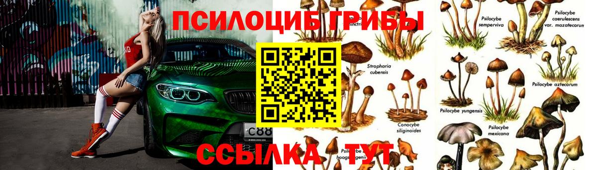 Галлюциногенные грибы Psilocybe  Галлюциногенные грибы MAGIC MUSHROOMS  Лосино-Петровский  Вход с VPN 